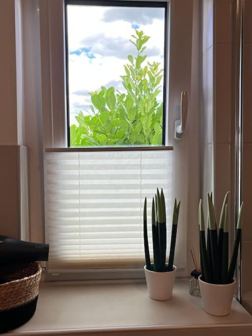 Appartement Buechensaal Mit Stellplatz Erlensee エクステリア 写真